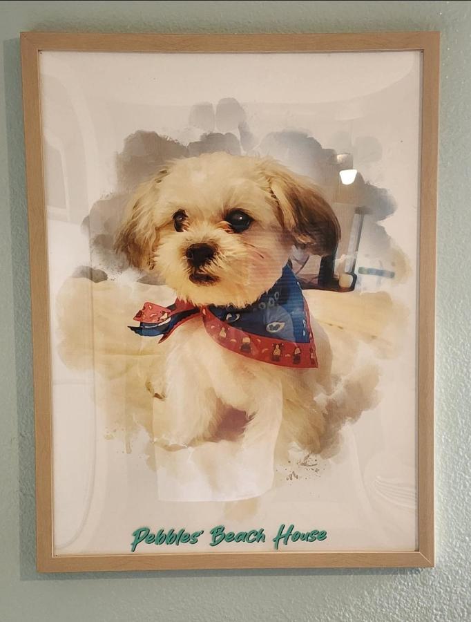 Pebbles' Beach House Edinburg Zewnętrze zdjęcie